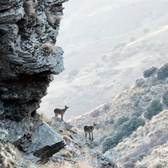 Image00047