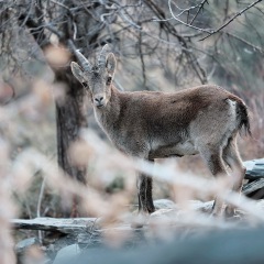 Image00049