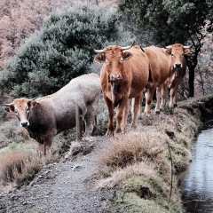Image00066