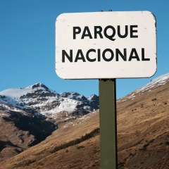 Image00077