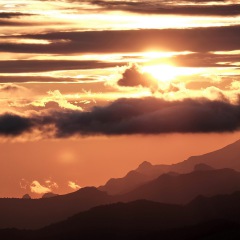 Image00079