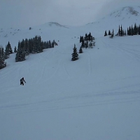 Image00012