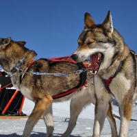 Image00024