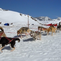 Image00025