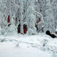 Image00038
