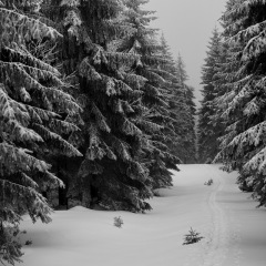 Image00001
