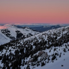 Image00005