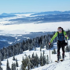 Image00007