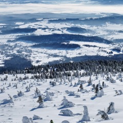 Image00012