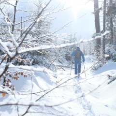Image00014