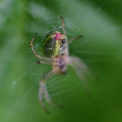 Image00021