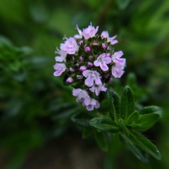 Image00022