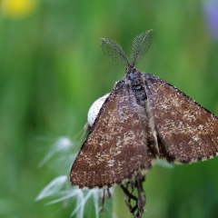 Image00023