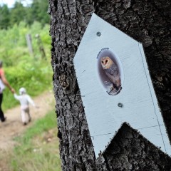 Image00032