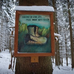 Image00062