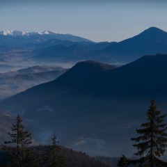Image00072