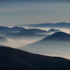 Image00079