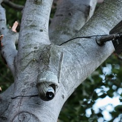 Image00004