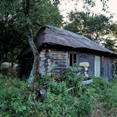 Image00005
