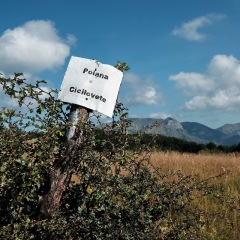 Image00007