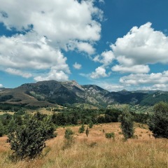Image00009