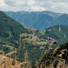 Image00013