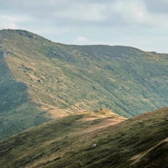 Image00019