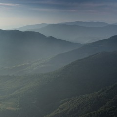 Image00021