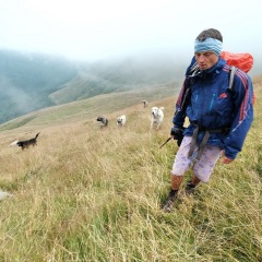 Image00027