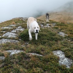 Image00029