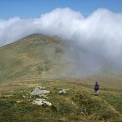 Image00030