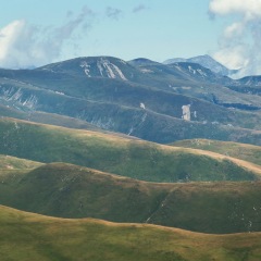 Image00032
