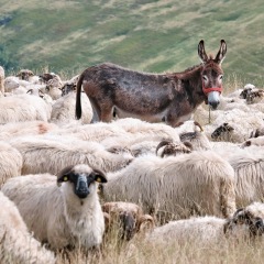 Image00033