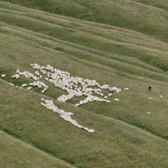 Image00034