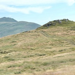 Image00035