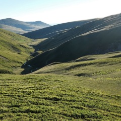 Image00038
