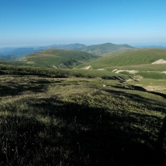 Image00040
