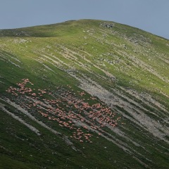 Image00042