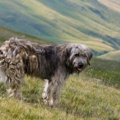 Image00043