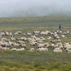 Image00048