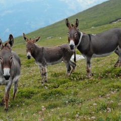 Image00049