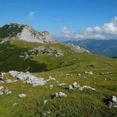Image00052