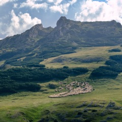 Image00055