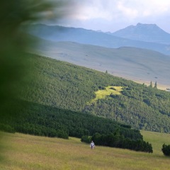 Image00056