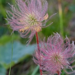 Image00057