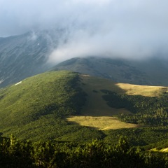 Image00058