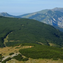 Image00061