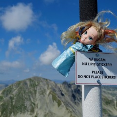 Image00065