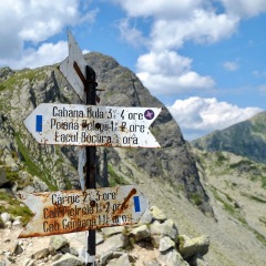 Image00069