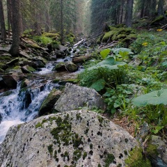 Image00077
